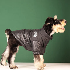 Dog Face Puffer Coat